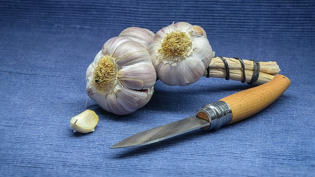 česnek