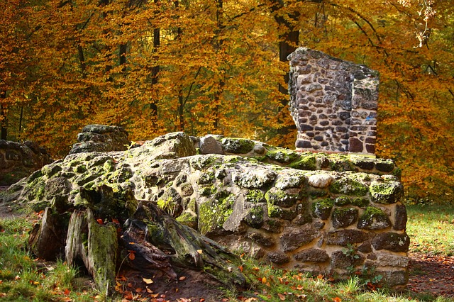 podzim
